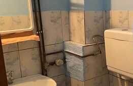 Garsoniera de 22 mp, mobilata, zona Carierei