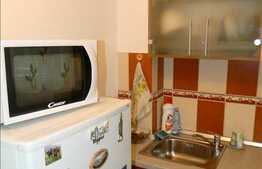 Vanzare garsoniera, 28 mp utili, zona Cojocnei, cu parcare