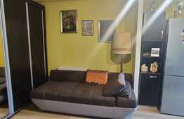Apartament de 2 camere, etajul 1, zona Atelierul de Pizza