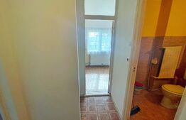 Apartament o camera, 40 mp, decomandat, zona USAMV