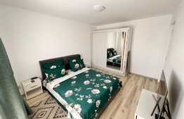 Casa individuala, la cheie, 71 mp utili, 536 mp teren, Jucu de Sus