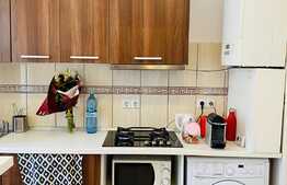 Studio, 30 mp, zona Bulevardul Eroilor