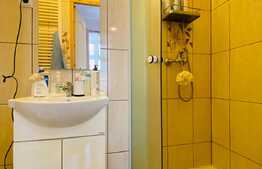 Studio, 30 mp, zona Bulevardul Eroilor