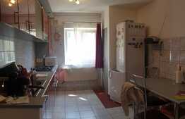Apartament 3 camere, 2 balcoane, garaj, zona Kaufland Marasti