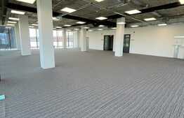 Spatiu birouri, cladire moderna, 300mp, parcare, terasa generoasa, Floresti