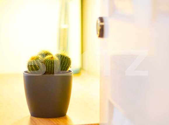 Apartament de închiriat 3 camere Central - 91871AI | BLITZ Cluj-Napoca | Poza13