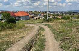 Teren extravilan in Dezmir, 2802 mp cu un front de 19 ml