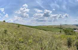 Teren extravilan in Dezmir, 2802 mp cu un front de 19 ml