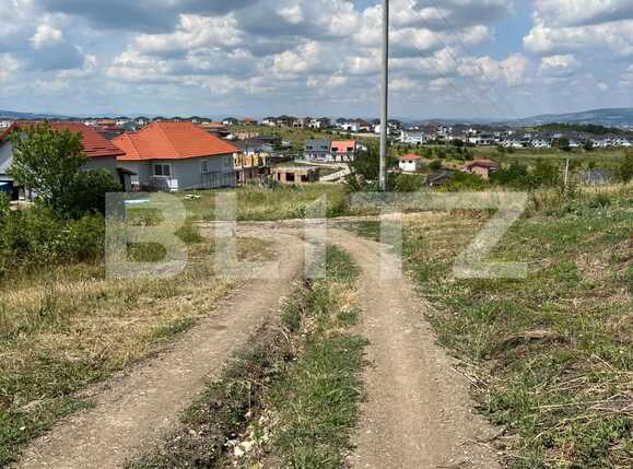 Teren de vânzare Dezmir - 91883TV | BLITZ Cluj-Napoca | Poza3