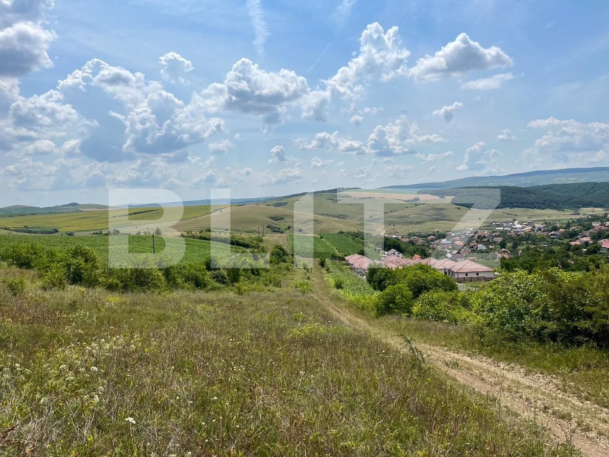 Teren de vânzare Dezmir - 91883TV | BLITZ Cluj-Napoca | Poza2