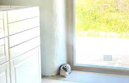 Casa ECO, 120 mp, independenta energetic, 3500 mp teren, in Ciurila