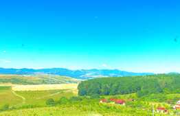 Casa ECO, 120 mp, independenta energetic, 3500 mp teren, in Ciurila