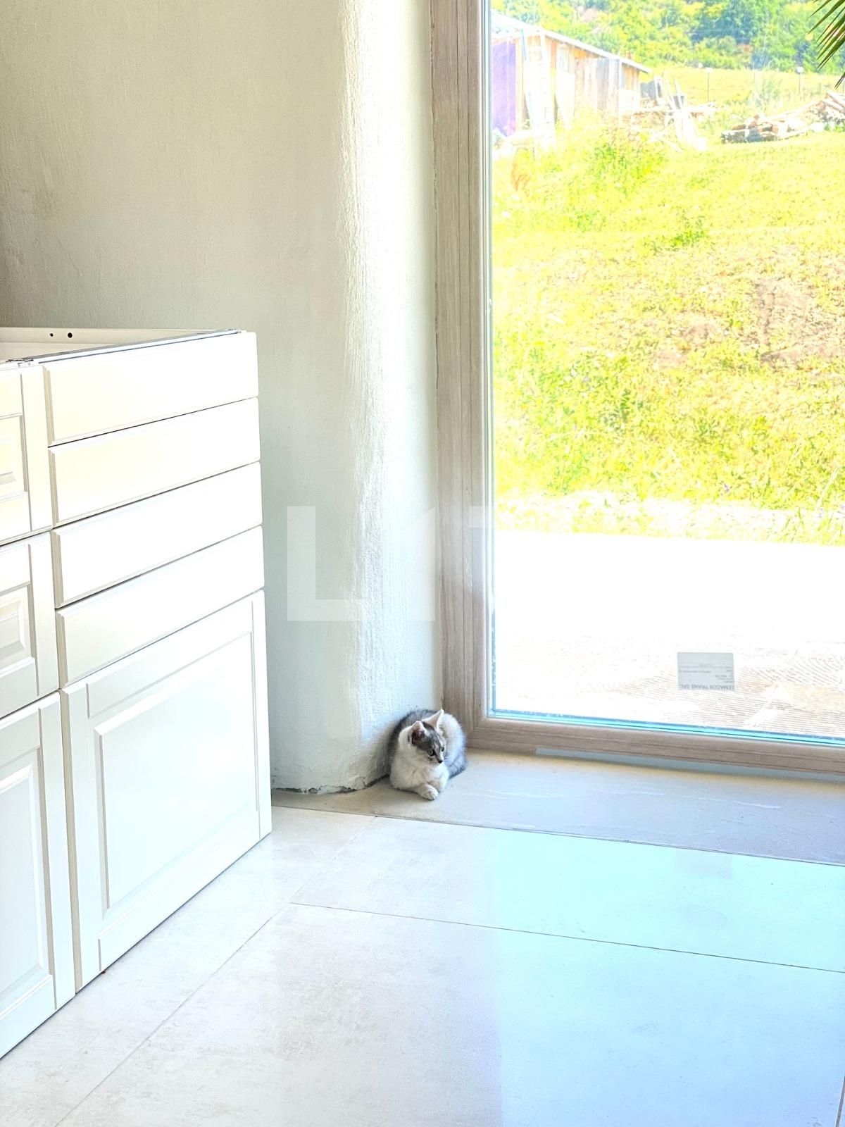 Casa de vânzare 3 camere Salicea - 91884CV | BLITZ Cluj-Napoca | Poza18