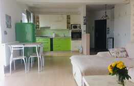 Apartament 2 camere, 50 mp, parcare, zona Stejarului