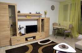 Garsonieră modernă, 28 mp, etaj intermediar, zona Astra