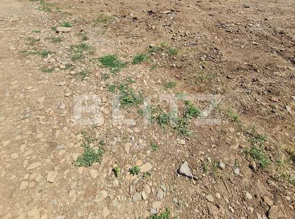 Teren de vânzare Floreşti - 91899TV | BLITZ Cluj-Napoca | Poza2