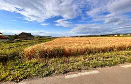 Teren 6340 mp, toate utilitatile in Jucu 