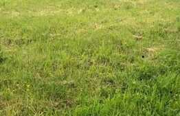 Exclusivitate! Teren intravilan 673 mp, panorama, Dâmbu Rotund