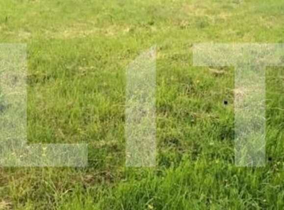 Teren de vânzare Dambul Rotund - 91932TV | BLITZ Cluj-Napoca | Poza2