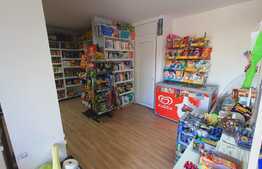 MegaOcazie! Afacere la cheie! Apartament si spatiu comercial, 74 mp, Apahida