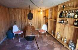 Proprietate unica Ap 3 cam, gradina, crama, Donath