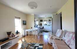 Proprietate unica Ap 3 cam, gradina, crama, Donath