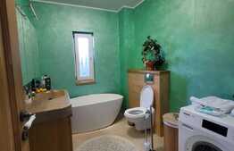 Proprietate unica Ap 3 cam, gradina, crama, Donath