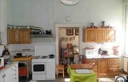 5 camere decomandate, imobil tip casa/vila, 170 mp, orientare S-V, zona Horea!