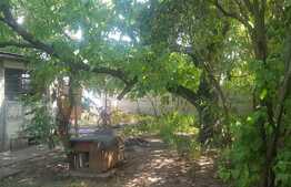 Teren intravilan 446 mp, casa demolabila, zona Cipariu 