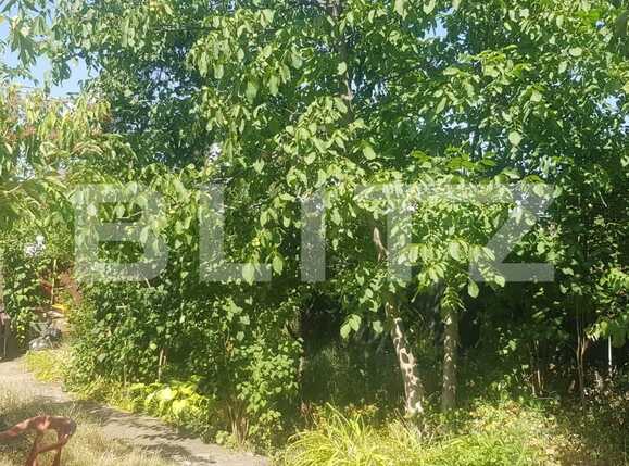 Teren de vânzare Gheorgheni - 92036TV | BLITZ Cluj-Napoca | Poza2