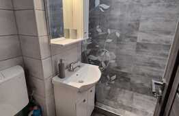 Apartament de 2 camere, mobilat lux, etaj intermediar, zona Piata Flora