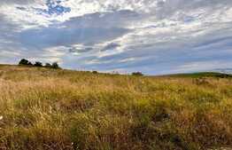 Teren 5800 mp, partial intravilan, Dezmir