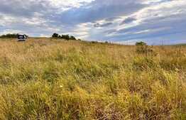 Teren 5800 mp, partial intravilan, Dezmir