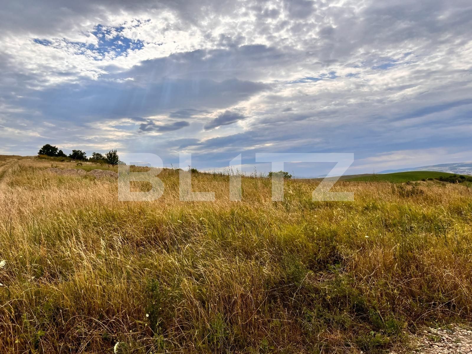 Teren de vânzare Dezmir - 92059TV | BLITZ Cluj-Napoca | Poza4