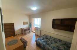 Garsoniera 25 mp, Pet Friendly, balcon, zona P-ta Mihai Viteazu