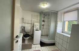 Garsoniera la parterul unei vile, 35 mp, zona strazii Romulus Vuia