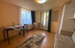 Garsoniera la parterul unei vile, 35 mp, zona strazii Romulus Vuia