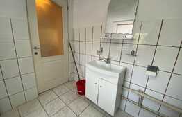 Garsoniera la parterul unei vile, 35 mp, zona strazii Romulus Vuia