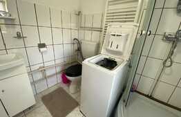 Garsoniera la parterul unei vile, 35 mp, zona strazii Romulus Vuia