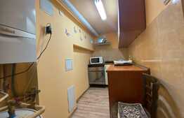 Garsoniera la parterul unei vile, 35 mp, zona strazii Romulus Vuia