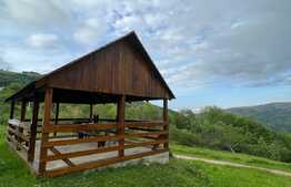 Cabana de 210mp, 2600 mp teren, in Rachitele