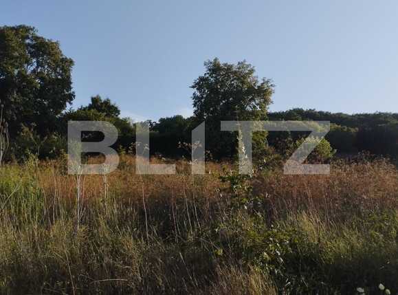 Teren de vânzare Manastur - 92166TV | BLITZ Cluj-Napoca | Poza7