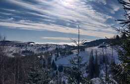 Casa de vacanta, 150 mp, teren 400 mp, terasa, in Statiunea Muntele Baisorii