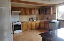 Casa de vacanta, 150 mp, teren 400 mp, terasa, in Statiunea Muntele Baisorii