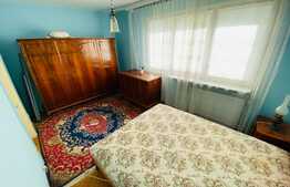 Apartament de 3 camere, 84 mp, pet friendly, zona Astra