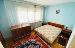 Apartament de 3 camere, 84 mp, pet friendly, zona Astra