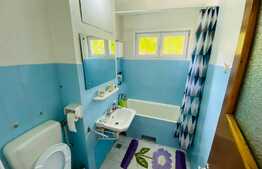 Apartament de 2 camere, 62 mp, pet friendly, zona Garii