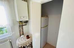 Apartament de 2 camere, 62 mp, pet friendly, zona Garii