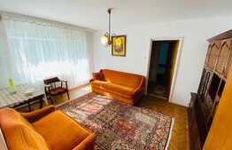 Apartament de 2 camere, 62 mp, pet friendly, zona Garii