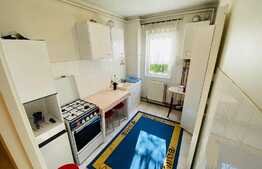 Apartament de 2 camere, 62 mp, pet friendly, zona Garii